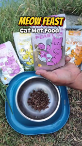 【PET RECORD】36/24/12PCS Cat Wet Food Pouch Complete Nutrition Weight Gain & Healthy Growth cat food