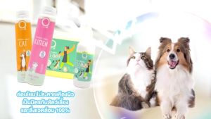O2 Nature Kitten แชมพูสกัดจากธรรมชาติสูตรสำหรับลูกแมว KITTEN 200/500มล.