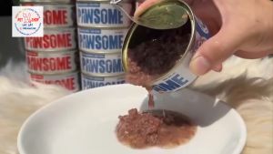 160 Gram Pate Pawsome cho MÈO Pate MÈO Sốt Viên Plaisir đủ loại