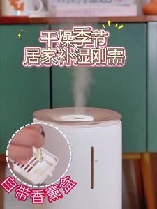 [China Plug Adapter Needed] Bear | Quiet Large Capacity Humidifier for Bedroom and Baby
