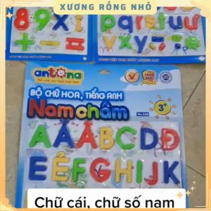 Bảng chữ số chữ cái nam châm chữ hoa và chữ thường Antona Xương Rồng Nhỏ