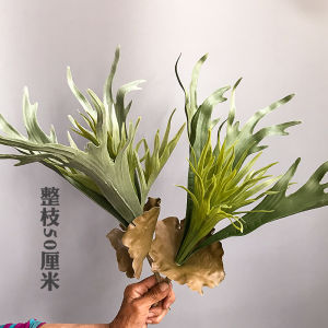 Đồ Trang Trí Nhà Bằng Nhựa Mềm Giả Dại Lớn Hoa Cúc Hoa Cỏ Hoa Nhựa Hoa Tươi Hoa Tươi Trang Trí Tường Nhà Trang Trí Nhà Cửa