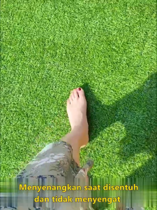 Rumput Sintetis Tipe Swiss 200x250 cm Tebal 3 cm Tidak Menjatuhkan