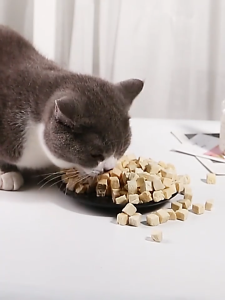 Đồ ăn vặt cho mèo dạng xô đông khô 500g Snack gà viên cho thú cưng tăng cân vị cá hồi gà ức cho chó