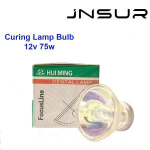Dental Curing Light Lamp Bulb 12V 75W Flat Foot for Curing Light Dental Clinic Mateiral Dentist Supply Dental Lab Equipments