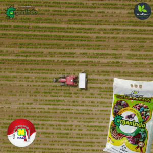 Pupuk Granule Organindo Multiguna untuk Tanaman Organik - Kemasan Praktis & Ekonomis