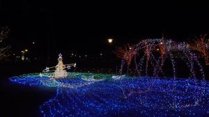 ไฟประดับ ไฟกระพริบ LED 100ดวง ยาว 8m แต่งงาน 100 LED สำหรับผ้า สวน หิ่ง น้ำ น้ำไข่ ปีใหม่