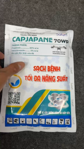 CAPJAPANE 70WP (Propineb + Tebuconazole) – Hỗ Trợ Kiểm Soát Thán Thư Đốm Nâu Cháy Lá Vàng Lá – Gói 100g Pha 10 Bình 25L