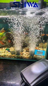 Máy Sủi Oxy ATMAN CR 10 CR 40 - Sủi Oxy 1 vòi 2 vòi Siêu Êm Và Khoẻ Tặng Kèm Dây Và Đá Sủi Shiwa