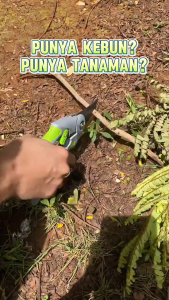 Gunting Dahan 8 Inch Dan Ranting Bunga Tanaman Gunting Kebun/Pruning Shears Alat Potong Dahan Gunting Tanaman