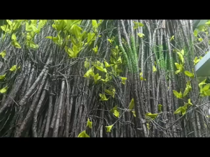 90cm Fake Branch Vine Artificial Vine Twig Home Wall Decor Fake Branches