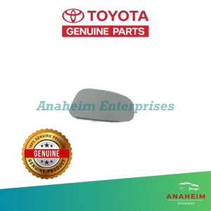 Toyota Fortuner 2009 - 2015 Hilux 2005-2015 Grab Handle Cover FR Gray (UP RH LO LH) 74615-0K010-B0