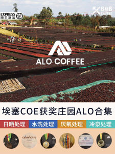 Bob Dylans New Seasonal Anaerobic Washed Sun-Dried Cold Spring Hand-Poured Coffee Beans Collection Ethiopian Yirgacheffe Beans