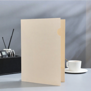 Customizable Kraft Paper Document Organizer with Gilt Lettering