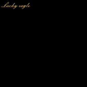 3inches TFOE-PE Emblem: The Fraternal Order of Eagle Emblem Gold Eagles Metal Car Emblem Logo