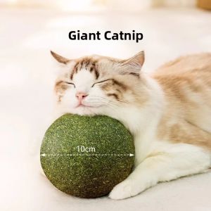 Entertainment Cat Toy Ball & Teasing Stick