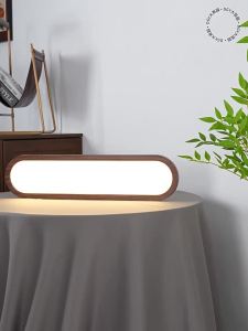 DGY | Retro Long Thin Ultra-thin Modern Simple Flush Mount Ceiling Light