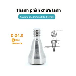 Phụ Kiện Cấy Ghép Nha Khoa JNSUR Bằng Hợp Kim Titan Bạc Tương Thích Với OSSTEM Dành Cho Kỹ Thuật Viên Nha Khoa