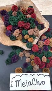 (1kg/1200-1800biji) Buah Bunga Cemara Laut Durenan Duren Duren-Durenan Properti Foto Dekorasi Rustik