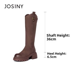Josiny | Faux Fur Thick Heel V-cut High Shaft Boots