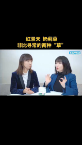 Atomy Rhodiola Milk Thistle (600mg * 120capsules) Liver health / Liver supplements