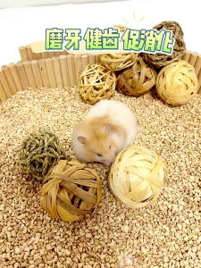 ของเล่นกระต่าย บอลหญ้า ลูกบอลเชือก ลูกบอลนก บอลนกแก้ว ให้นกกัดเล่น ของเล่นนก ของเล่นกระต่าย หนูแฮมเตอร์ แกสบี้ กระรอก