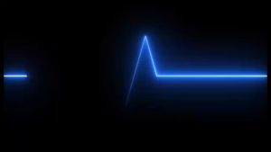 AquaRich JAKIM Halal 20 inch Silver Anti Bacteria Carbon Block CTO Filter Cartridge Filter Replacement for Housing