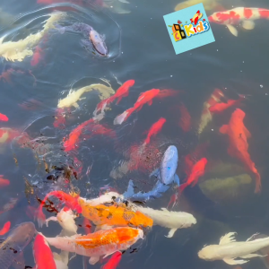 Đồ chơi Cá Mập phun nước điều khiển từ xa Bơi Linh hoạt Được dưới nước MagiDeal RC Shark Boat 2.4G