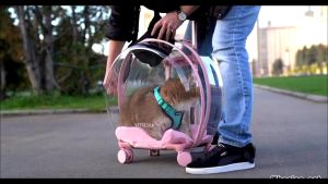 BlackMimi VETRESKA Cat Pet Transparent Elegant Carrier Luggage Box Modern and Elegant Design