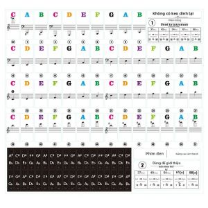 Có Thể Tháo Rời Trong Suốt Bàn Phím Piano Dán Nhạc Decal Ghi Chú Cho 49/54/61/88 Phím Đàn Piano Điện Tử Quang Phổ Biểu Tượng Miếng Dán