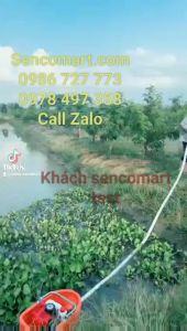 Top 1 máy bơm nước dạng thuyền bền đẹp giá rẻ nên mua