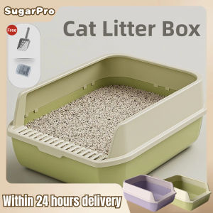Cat Litter Box With Scoop: A Comprehensive Guide