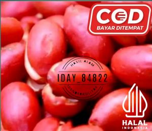 kulit Tangkil kulit melinjo 1kg Mateng Dan segar asli ful merah merona