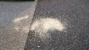 Máy Hút Bụi Cầm Tay Bosch BHN20L Máy Hút Bụi Ô Tô Giường Nệm Công Suất Lớn Pin Trâu Công Nghệ Lithium-Ion Làm Sạch Đa Năng Kèm Đầu Hút Dài Nhập Đức Bảo Hành 12 Tháng