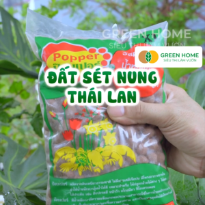Đất sét nung trồng cây thái lan Greenhome Nhiều size Vô trùng Sử dụng lâu dài Trồng sen đá Phong lan sứ Thuỷ canh
