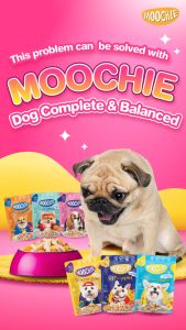 Moochie Wet Adult Dog Food Casserole 5 Flavors in 1 Sampler Bundle 85g Pouches with Unique Benefits