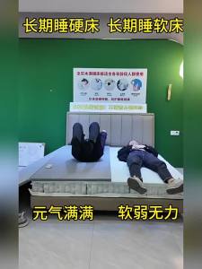 HAOZHU | Anti-Sag Support Board Lumbar Spine Protection Bed Plate