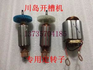 Changzhou Weida Sanluo Small Taibao Leibao Slotting Machine Rotor Head Shell Gear Carbon Brush Electric Tool Hardware