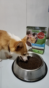 PetMarra Puppy Dry Food Beef and Chicken 1kg