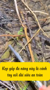 Kẹp Gắp Hải Sản Chuyên Dụng (27cm-62cm) - Inox Chống Gỉ Sét Mũi Răng Cưa Giữ Chặt Tay Cầm Chống Trượt - SaFami Store