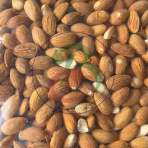 Premium Raw Almond Nuts (Imported)