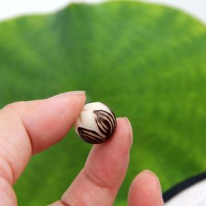 Phụ Kiện Hạt Thủ Công Bằng Gỗ Cây Boddhi Đính Hoa Sen Và Hoa Magnolia Đính Hạt Rời Dùng Để Làm Vòng Tay Và Mặt Dây Chuyền