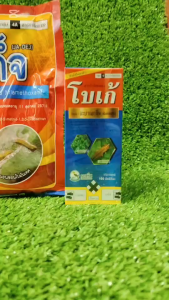 ไส้เดือนฝอย ปัญหา รากปม รากขอด รากกุด ถูกทำลาย ปัญหาต้นพืช เหี่ยวเขียว ยืนต้นตาย สูตรพิเศษ