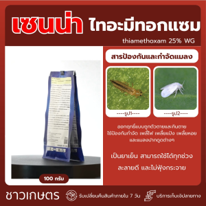 ฆ่าเพลี้ยไฟ เพลี้ยแป้ง แมลงหวี่ขาว ตายเรียบ!ยาเย็น ดูดซึม! เซนน่า ไทอะมีทอกแซม 25% (100 กรัม)