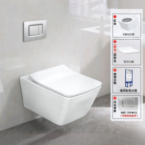 TOTO | Wall-Mounted In-Wall Toilet