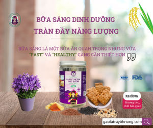 Bánh Mầm Gạo Lứt Mè Đen BHNONG- Bánh Mầm Bhnong Ăn kiêng Thuần tự nhiên Ít đường Tốt cho người tiểu đường