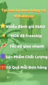 Móc treo quần áo VIVUDECOR MQ10