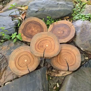 เขียงไม้สักหน้าตัด รูปทรงธรรมชาติ อาจมีรอยแตกตามธรรมชาติแต่ไม่แยกจากกัน เขียงไม้ เขียง ไม้สักแท้ คละไชส์ 13-16ชม.หนา2ซม.