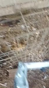 [HCM] Kìm đơn ráp lồng chim lồng thỏ Dương Ninh lồng gà công nghiệp -Randy