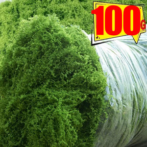100G Eternal Life Moss Artificial Green Plants DIY Crafts Grass Home Room Garden Decoration Mini Landscape Fake Grass Gifts